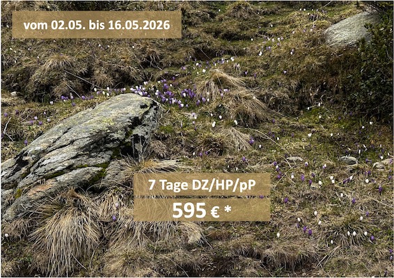 Angebot Frühjahrserwachen