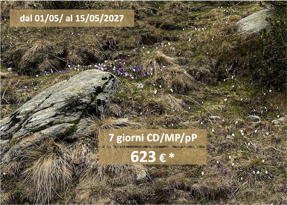 Offerte delle settimane Risveglio di primavera dal 01/05/ - 15/05/2027 - giorni CD/MP/pP - 623 € *